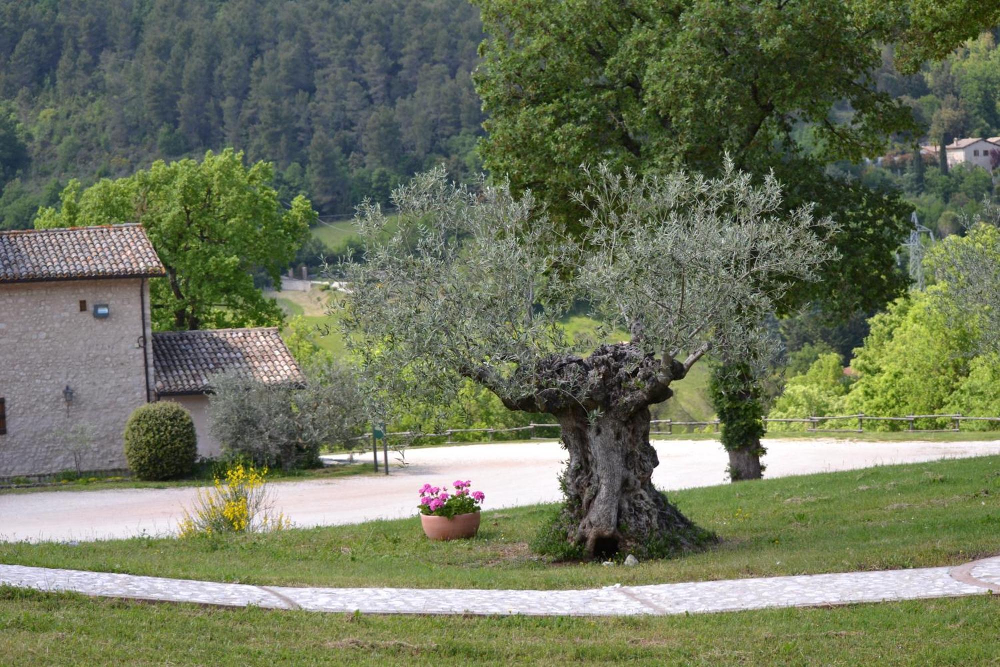 Valle Rosa Spoleto Exterior photo